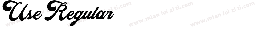 Use Regular字体转换